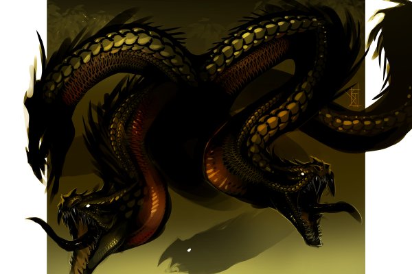 Kraken 17 at net